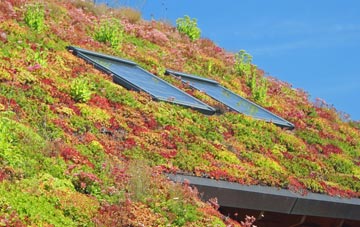 Horton In Ribblesdale living roof systems
